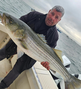 Striped Bass Fishing New York